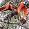 ΑΛΥΣΟΠΡΙΟΝΟ HUSQVARNA Τ525 h150-0546