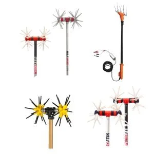 ΕΛΑΙΟΡΑΒΔΙΣΤΙΚΑ ΚΟΝΤΑΡΙΑ ( ΒΕΡΓΕΣ )