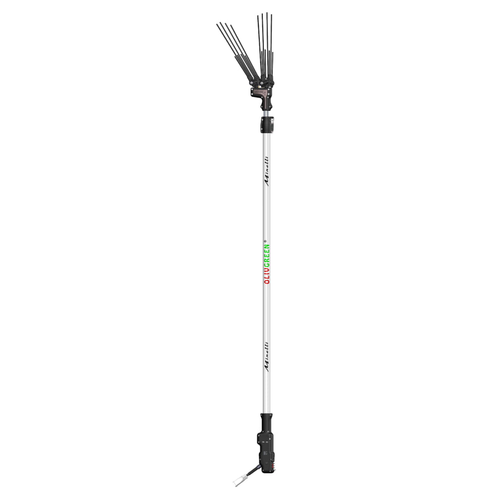ΕΛΑΙΟΡΑΒΔΙΣΤΙΚΟ MINELLI OLIVGREEN 700 PLUS OLIVGREEN 700 PLUS