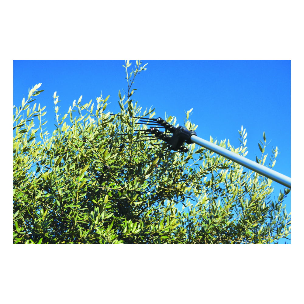 ΕΛΑΙΟΡΑΒΔΙΣΤΙΚΟ MINELLI OLIVGREEN 700 PLUS OLIVGREEN 700 PLUS