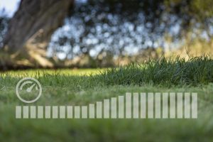 ΧΛΟΟΚΟΠΤΙΚΟ ΜΠΑΤΑΡΙΑΣ HUSQVARNA LC137i +ΜΠΑΤΑΡΙΑ Bli20+ΦΟΡΤΙΣΤΗΣ 40-Qc80 ΧΛΟΟΚΟΠΤΙΚΟ ΜΠΑΤΑΡΙΑΣ HUSQVARNA LC137i +ΜΠΑΤΑΡΙΑ Bli20+ΦΟΡΤΙΣΤΗΣ 40-Qc80