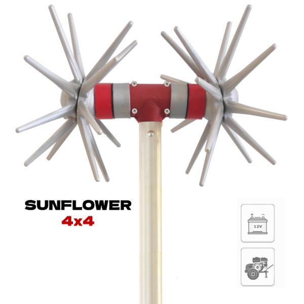 SUNC (3)