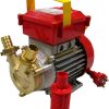ΑΝΤΛΙΑ ROVER ΒΕΜ 20 0,5ΗΡ ROVER antlia-metagisisr-rover-2