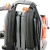 BL4300_8