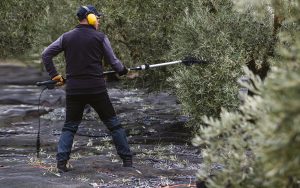 ΕΛΑΙΟΡΑΒΔΙΣΤΙΚΟ ΤΗΛΕΣΚΟΠΙΚΟ ΜΠΑΤΑΡΙΑΣ ΖΑΝΟΝ KARBONIUM EVO AL300/33V