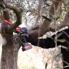 ΑΛΥΣΟΠΡΙΟΝΟ ΚΛΑΔΕΜΑΤΟΣ ΜΠΑΤΑΡΙΑΣ ΖΑΝΟΝ ZP 185 zp-185-slider-03_3580431e48aedf97dcedf972d1481942