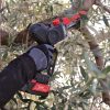ΑΛΥΣΟΠΡΙΟΝΟ ΚΛΑΔΕΜΑΤΟΣ ΜΠΑΤΑΡΙΑΣ ΖΑΝΟΝ ZP 185 zp-185-slider-06_3580431e48aedf97dcedf972d1481942