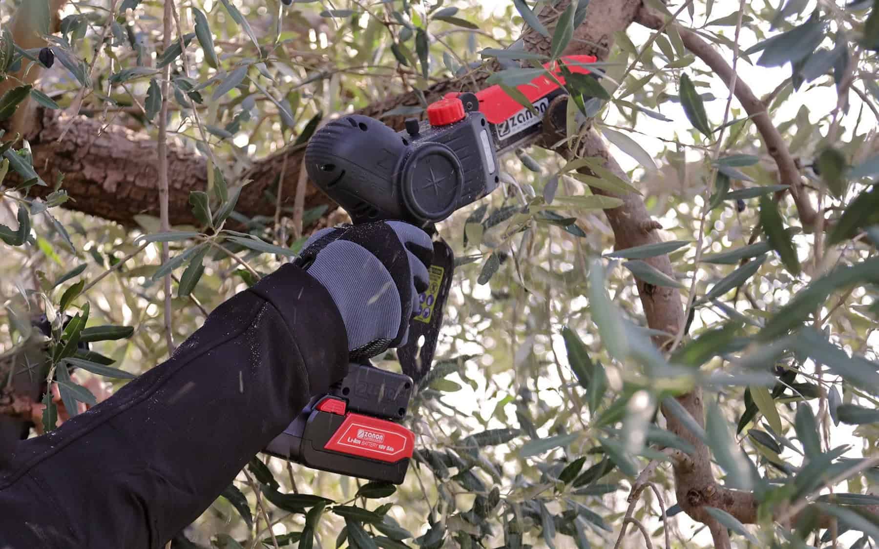 zp-185-slider-06_3580431e48aedf97dcedf972d1481942