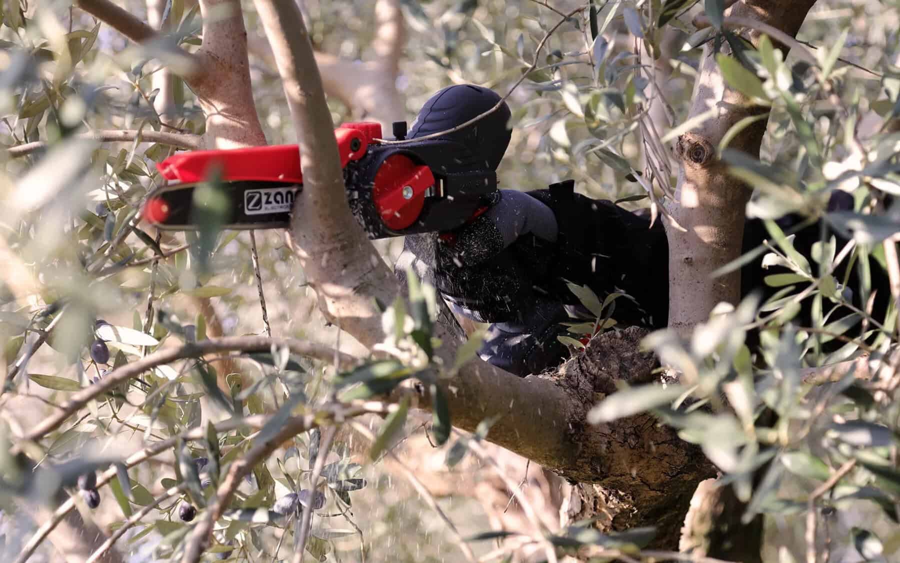 zp-185-slider-07_3580431e48aedf97dcedf972d1481942