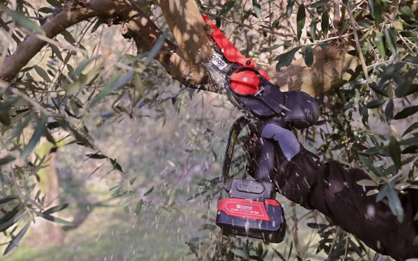ΑΛΥΣΟΠΡΙΟΝΟ ΚΛΑΔΕΜΑΤΟΣ ΜΠΑΤΑΡΙΑΣ ΖΑΝΟΝ ZP 185 zp-185-slider-09_3580431e48aedf97dcedf972d1481942
