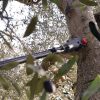 zp-190-lp-slider-13_3580431e48aedf97dcedf972d1481942