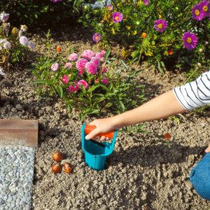 ΦΥΤΕΥΤΗΡΙ ΒΟΛΒΩΝ ΧΕΙΡΟΣ GARDENA 03412-20