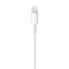 APPLE ΚΑΛΩΔΙΟ ΦΟΡΤΙΣΗΣ LIGHTNING ΣΕ USB 1m md818_av2_1_1