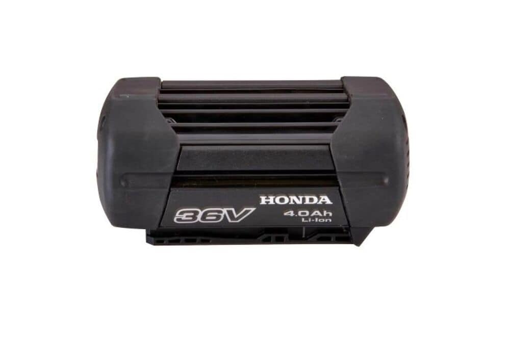 oie_1185919vR60OIPS (1)