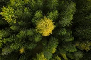 ΨΑΛΙΔΙ ΜΠΟΥΛΤΟΥΡΑΣ HUSQVARNA 522I HD60 ΑΝΕΥ ΜΠΑΤΑΡΙΑΣ + ΦΟΡΤΙΣΤΗ