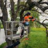 ΑΛΥΣΟΠΡΙΟΝΟ HUSQVARNA Τ540ΧΡ MARK III ΛΑΜΑ & ΑΛΥΣΙΔΑ 14″ SP21G SN FG-591936