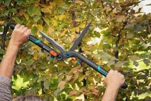 ΨΑΛΙΔΙ ΜΠΟΥΛΝΤΟΥΡΑΣ GARDENA ENERGYCUT 601