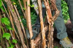ΚΛΑΔΕΥΤΗΡΙ GARDENA ΜΕ ΣΤΑΘΕΡΟ ΚΟΝΤΑΡΙ SLIMCUT ΓΙΑ ΚΛΑΔΙΑ ΕΩΣ 28mm ΚΛΑΔΕΥΤΗΡΙ GARDENA ΜΕ ΣΤΑΘΕΡΟ ΚΟΝΤΑΡΙ SLIMCUT ΓΙΑ ΚΛΑΔΙΑ ΕΩΣ 28mm