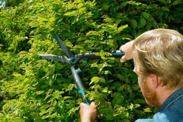 ΨΑΛΙΔΙ ΜΠΟΥΛΝΤΟΥΡΑΣ GARDENA EASYCUT 537 GA650-2061