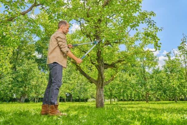 ΚΛΑΔΕΥΤΗΡΙ ΜΑΚΡΙΩΝ ΧΕΙΡΟΛΑΒΩΝ GARDENA EASYCUT L 12031-20 YH-502467