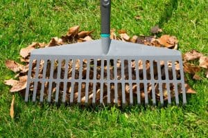 ΤΣΟΥΓΚΡΑΝΟΣΚΟΥΠΑ ΜΕ ΣΤΥΛΙΑΡΙ GARDENA ΠΛΑΣΤΙΚΗ NATURELINE 17105-20 ΤΣΟΥΓΚΡΑΝΟΣΚΟΥΠΑ ΜΕ ΣΤΥΛΙΑΡΙ GARDENA ΠΛΑΣΤΙΚΗ NATURELINE 17105-20