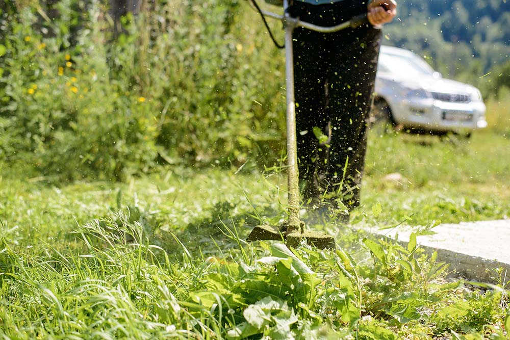 Πώς αλλάζω τη μεσινέζα : Όλα όσα πρέπει να ξέρεις