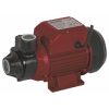 RAIDER Αντλία ηλεκτρική περιφερειακή νερού RD-PK60 370W 070101 070101
