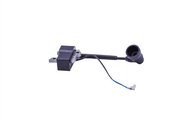 597564002-COIL
