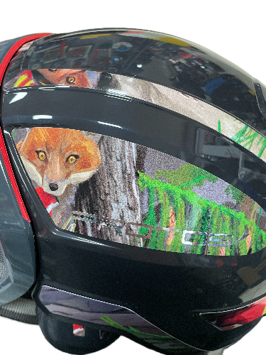 IMG_8072-fotor-bg-remover-20260120145327