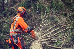 ΑΛΥΣΟΠΡΙΟΝΟ HUSQVARNA 564XP ΛΑΜΑ ΑΛΥΣΙΔΑ 20" X-Tough Light