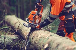 ΑΛΥΣΟΠΡΙΟΝΟ HUSQVARNA 564XP ΛΑΜΑ ΑΛΥΣΙΔΑ 20" X-Tough Light